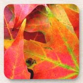 カラフル紅葉クローズアップ コースター (正面)