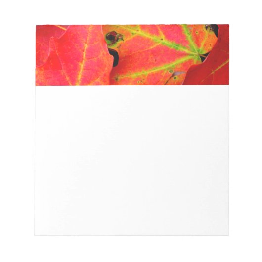 カラフル紅葉クローズアップ ノートパッド (正面)