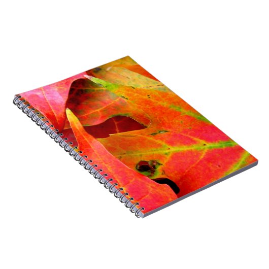 カラフル紅葉クローズアップ ノートブック (右側)