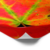 カラフル紅葉クローズアップ ポスター (角)