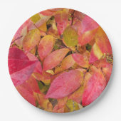 カラフル紅葉フローラ ペーパープレート (正面)