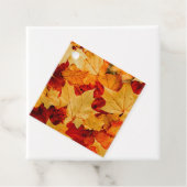 カラフル紅葉写真 フェイバータグ (インサイチュ)