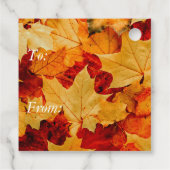 カラフル紅葉写真 フェイバータグ (裏面)