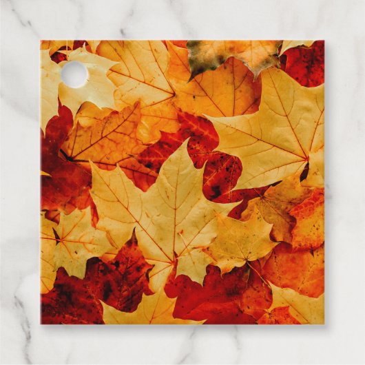 カラフル紅葉写真 フェイバータグ (正面)