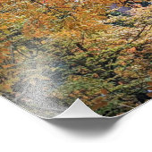 カラフル紅葉写真 フォトプリント            (角)