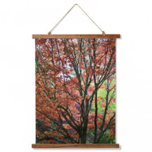 カラフル紅葉写真