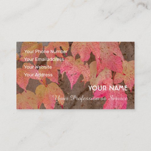 カラフル紅葉秋 名刺 (裏面)