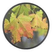 カラフル紅葉 アイスホッケーパック (正面)