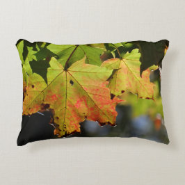 カラフル紅葉 アクセントクッション