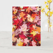 カラフル紅葉 カード (黄色い花)