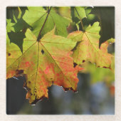 カラフル紅葉 ガラスコースター (正面)