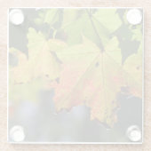カラフル紅葉 ガラスコースター (裏面)