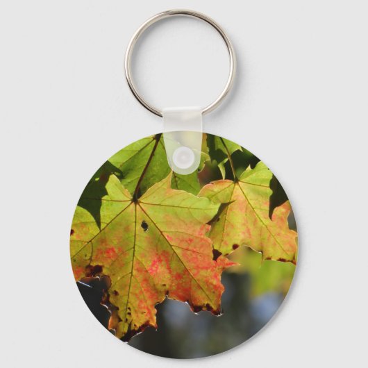 カラフル紅葉 キーホルダー (正面)