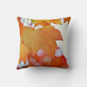 カラフル紅葉 クッション (裏面)