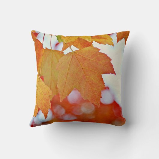 カラフル紅葉 クッション (裏面)