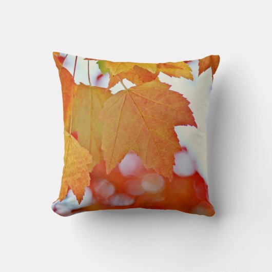 カラフル紅葉 クッション (正面)