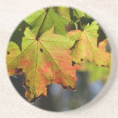 カラフル紅葉 コースター (正面)