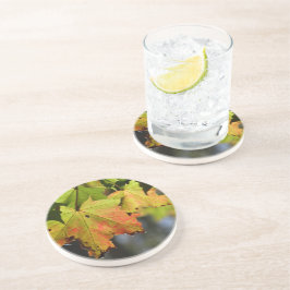 カラフル紅葉 コースター