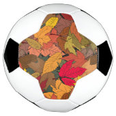 カラフル紅葉 サッカーボール (回転)