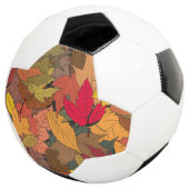 カラフル紅葉 サッカーボール (3/4)