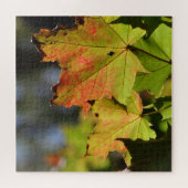 カラフル紅葉 ジグソーパズル (横)