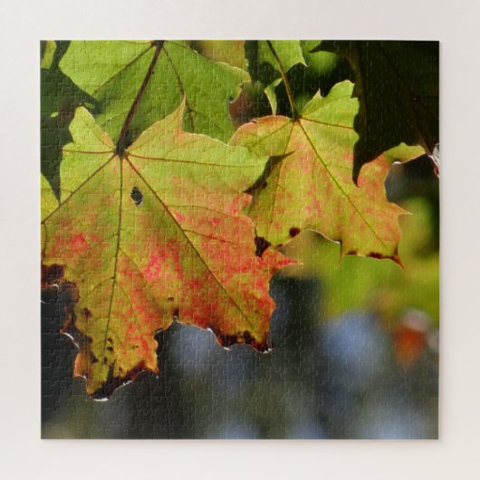 カラフル紅葉 ジグソーパズル (縦)