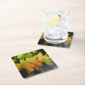 カラフル紅葉 スクエアペーパーコースター (インサイチュ)