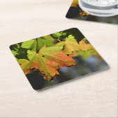 カラフル紅葉 スクエアペーパーコースター (アングル)