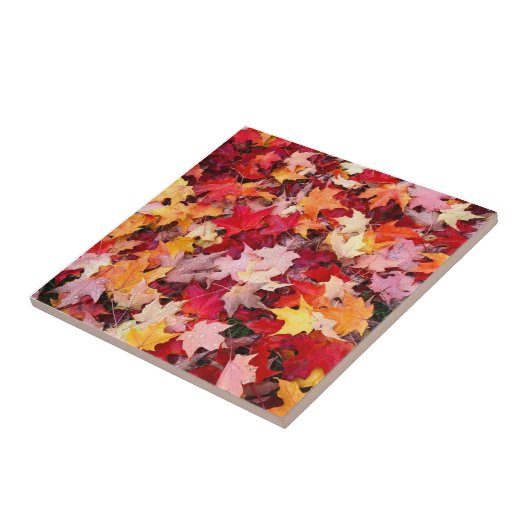 カラフル紅葉 タイル (側面)