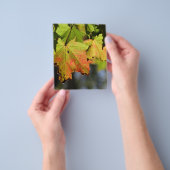 カラフル紅葉 チラシ (手)