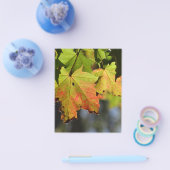 カラフル紅葉 チラシ (シングル)