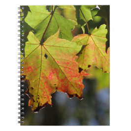 カラフル紅葉 ノートブック