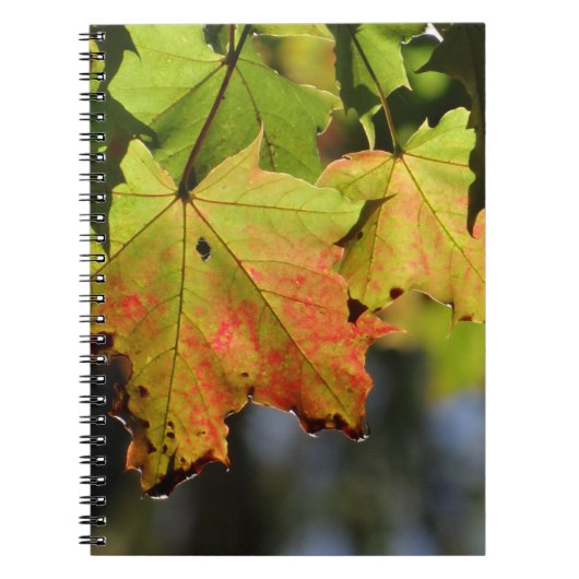 カラフル紅葉 ノートブック (正面)