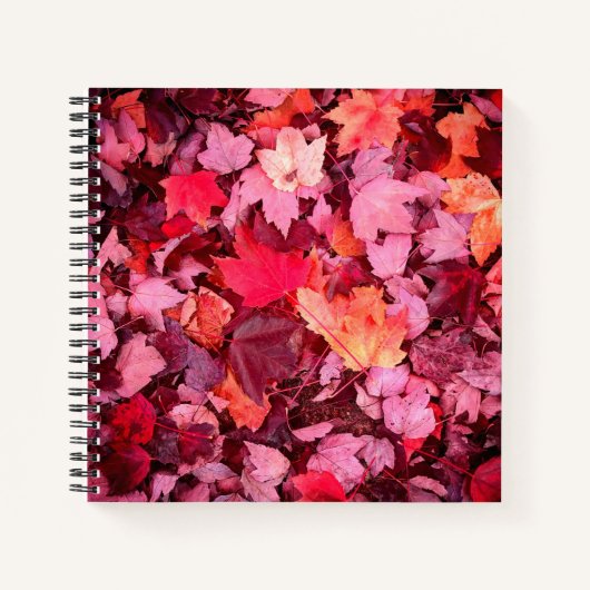 カラフル紅葉 ノートブック (正面)