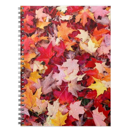 カラフル紅葉 ノートブック (正面)