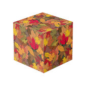 カラフル紅葉 フォトキューブ (裏面アングル)