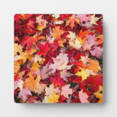 カラフル紅葉 フォトプラーク (正面)