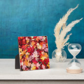 カラフル紅葉 フォトプラーク (インサイチュ)