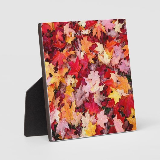 カラフル紅葉 フォトプラーク (正面)