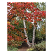 カラフル紅葉 フォトプリント (正面)