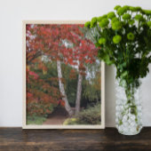 カラフル紅葉 フォトプリント