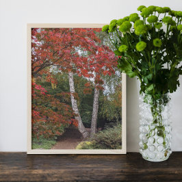 カラフル紅葉 フォトプリント           