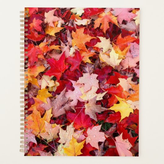 カラフル紅葉 プランナー手帳 (正面)