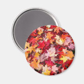 カラフル紅葉 マグネット (正面/裏面)