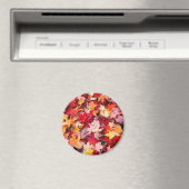 カラフル紅葉 マグネット (インサイチュ (食洗機))