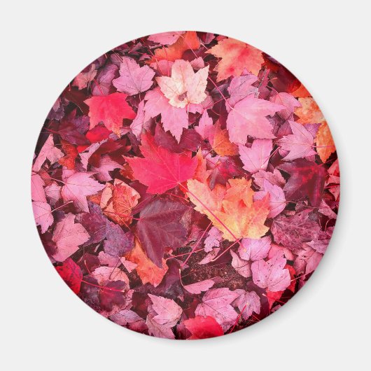 カラフル紅葉 マグネット (正面)
