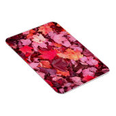 カラフル紅葉 マグネット (右側)