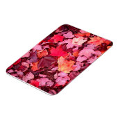 カラフル紅葉 マグネット (左側)