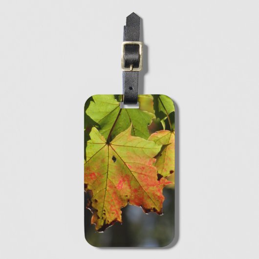 カラフル紅葉 ラゲッジタグ (正面縦)