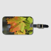 カラフル紅葉 ラゲッジタグ (正面横)
